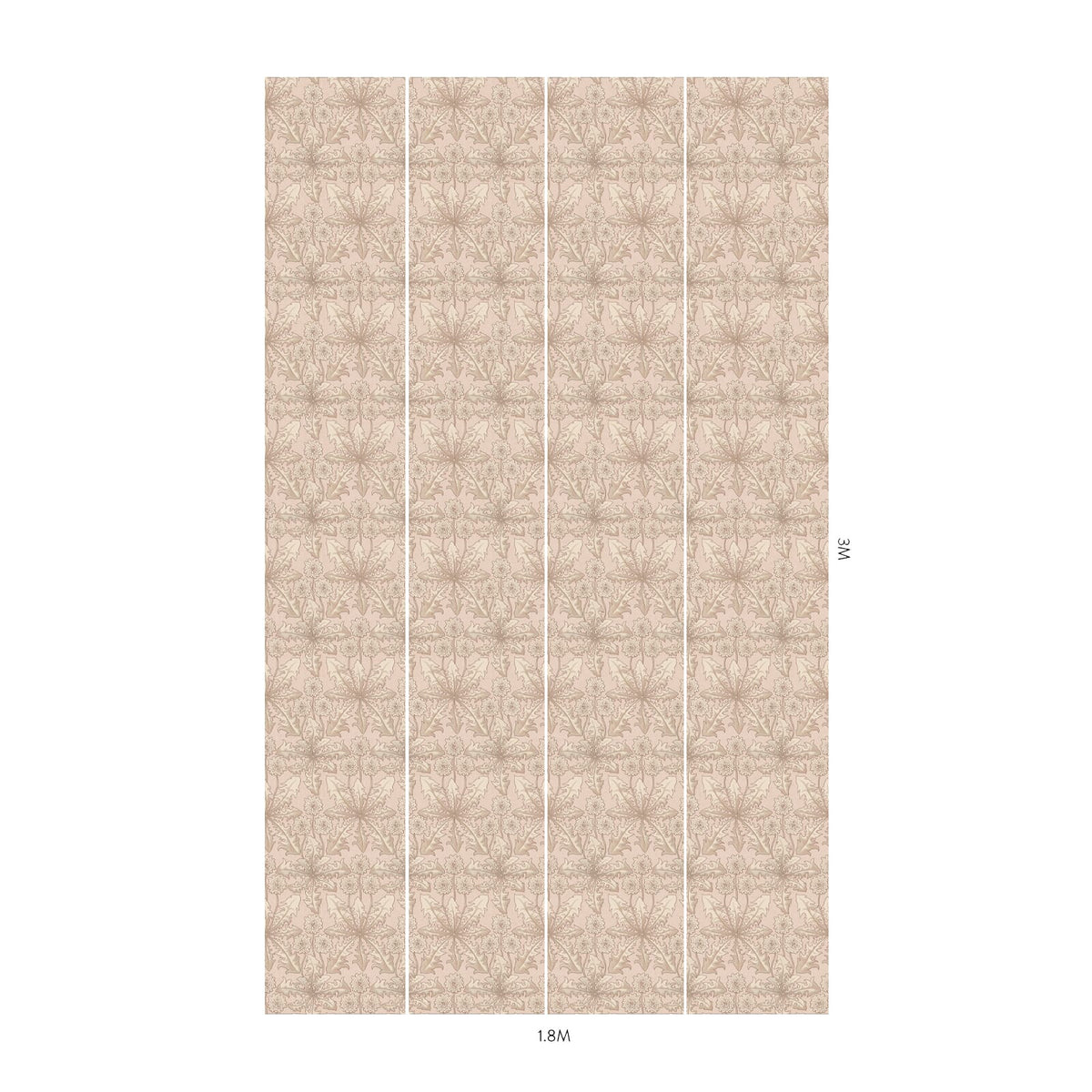 TARAXA  Wallpaper - Phlox
