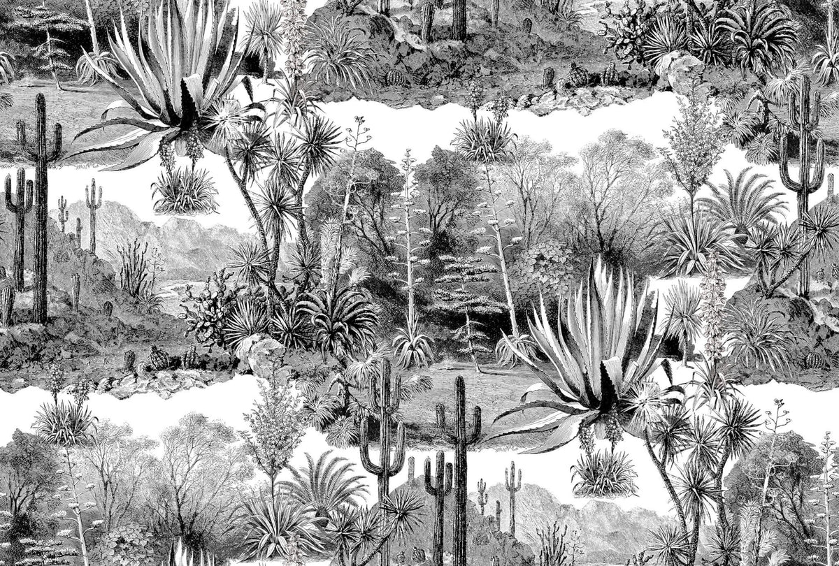 Pampa wallpaper in Jais