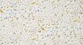 La serre aux papillons wallpaper in Printemps