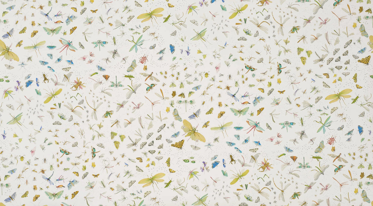 La serre aux papillons wallpaper in Printemps