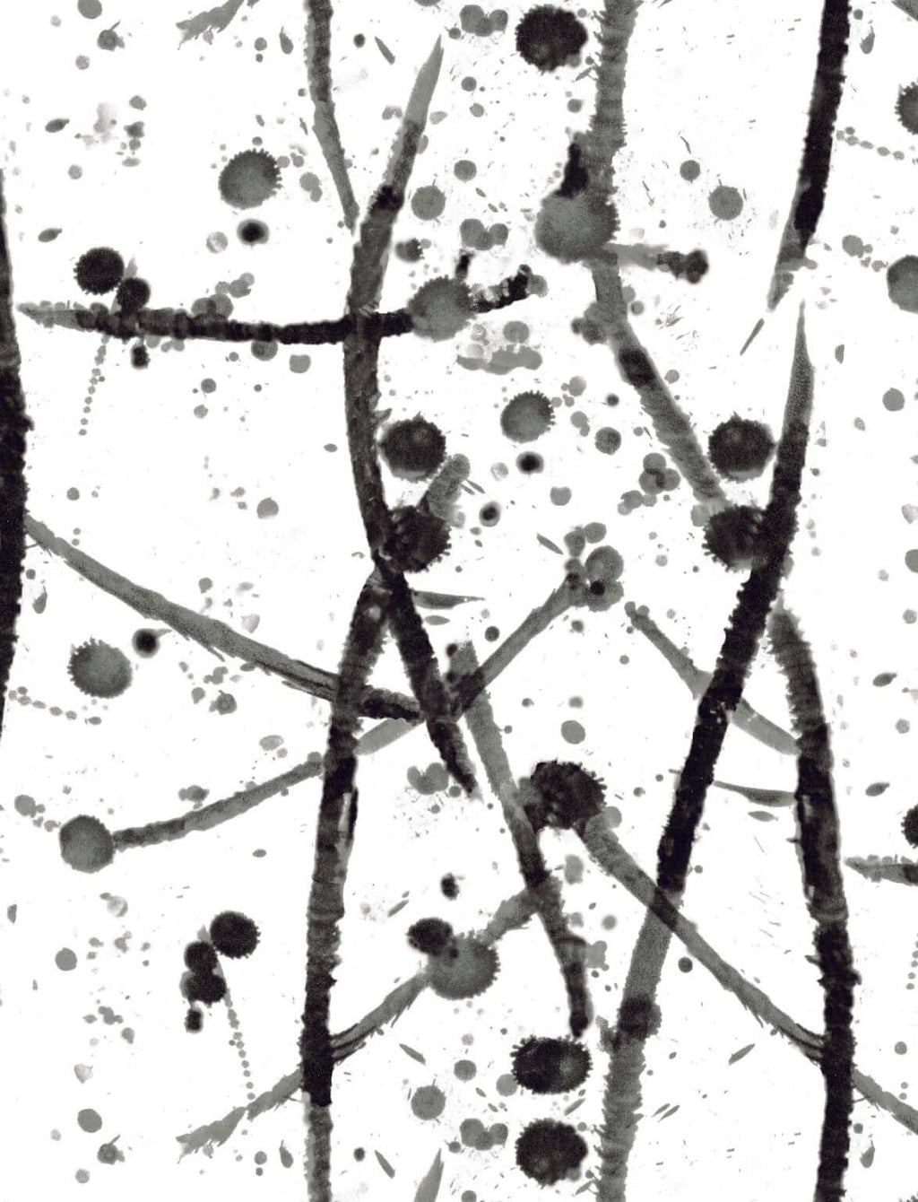 Leo wallpaper in Noir
