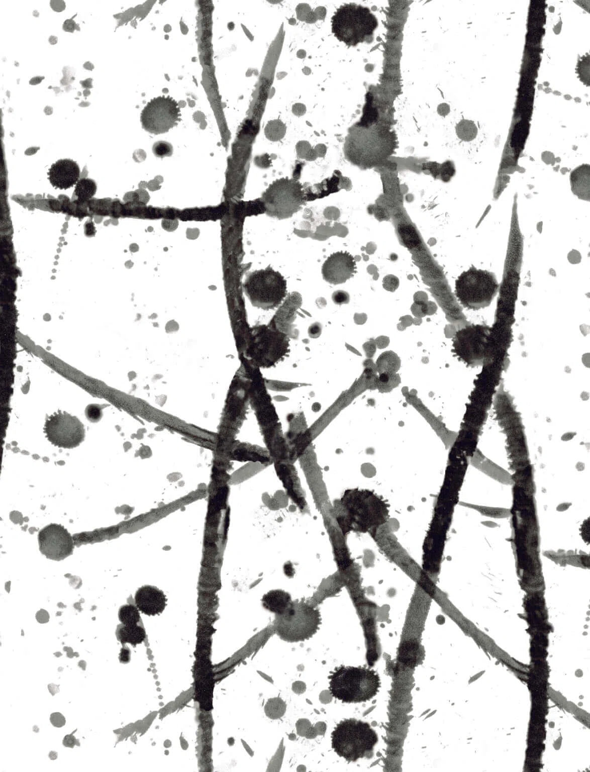 Leo wallpaper in Noir