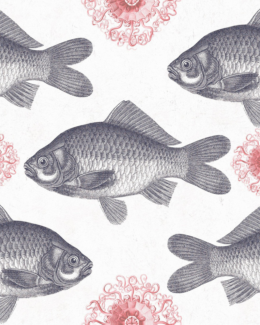 FISH WALLPAPER
