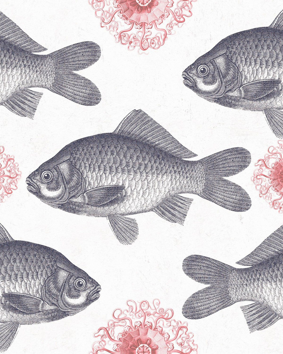 FISH WALLPAPER