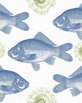 FISH WALLPAPER