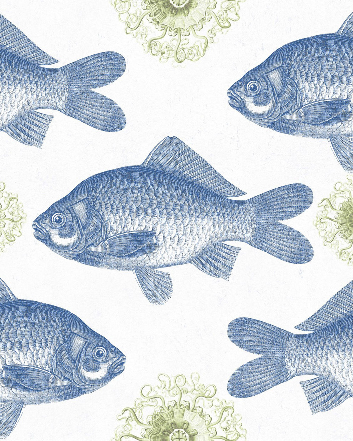 FISH WALLPAPER