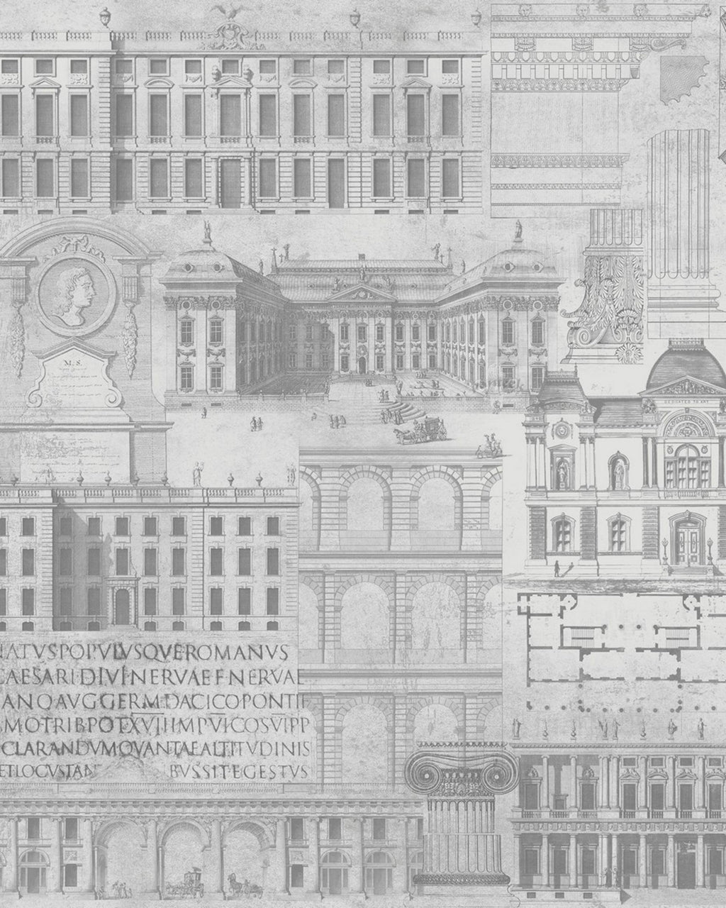 VITRUVIUS WALLPAPER