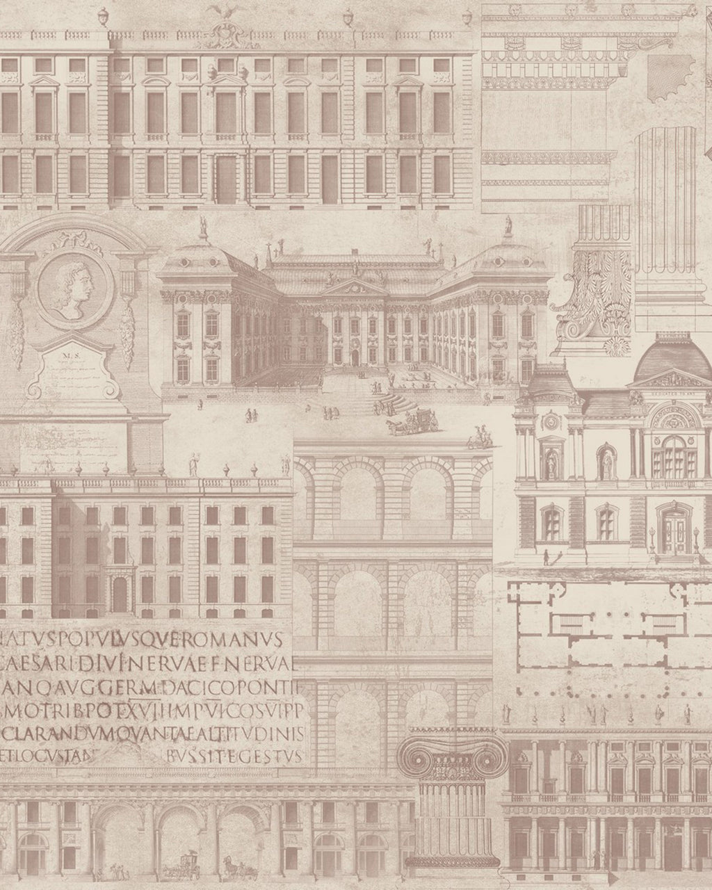 VITRUVIUS WALLPAPER
