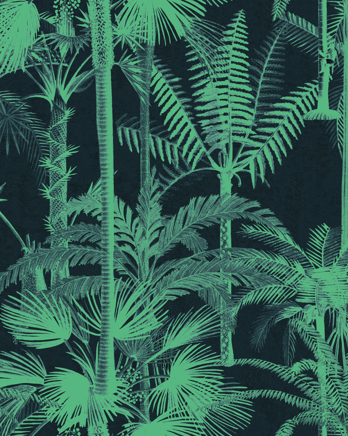 PALMERA CUBANA WALLPAPER