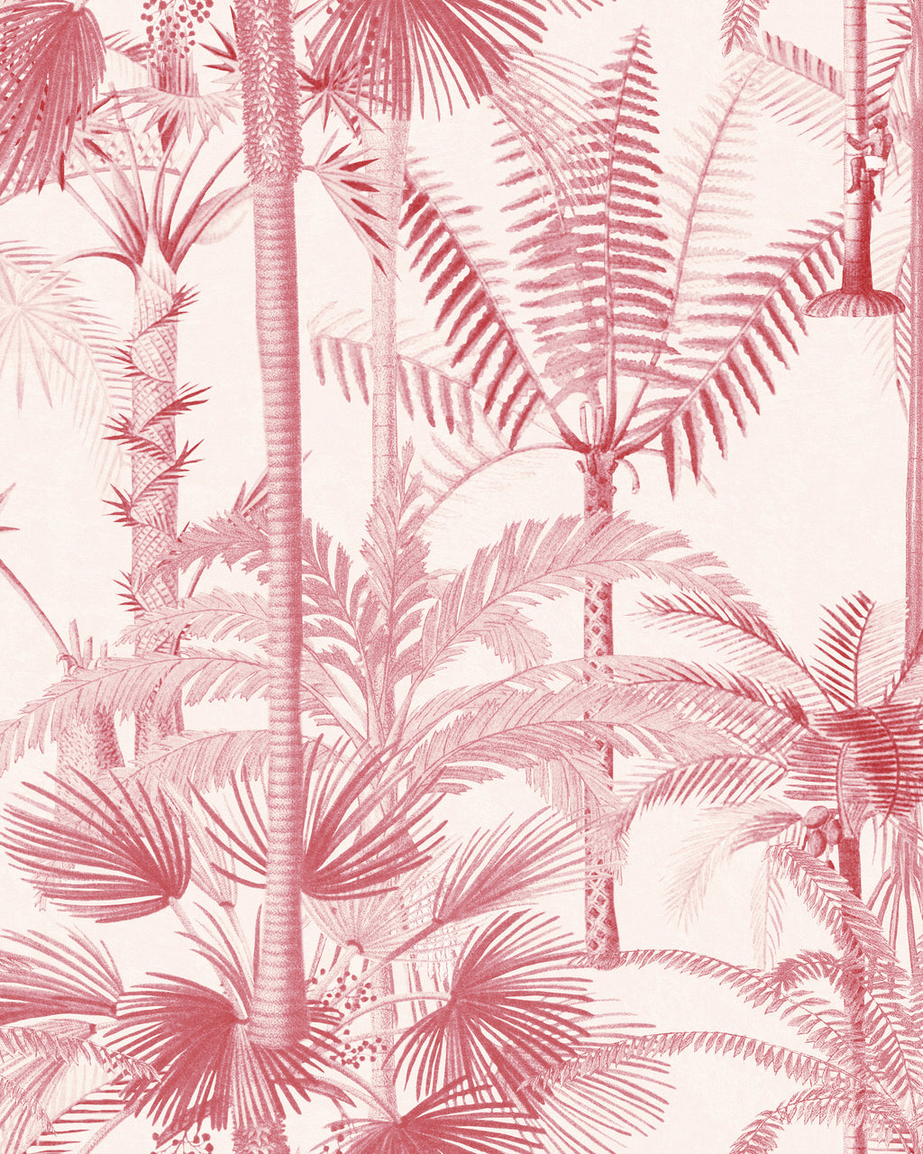 PALMERA CUBANA WALLPAPER