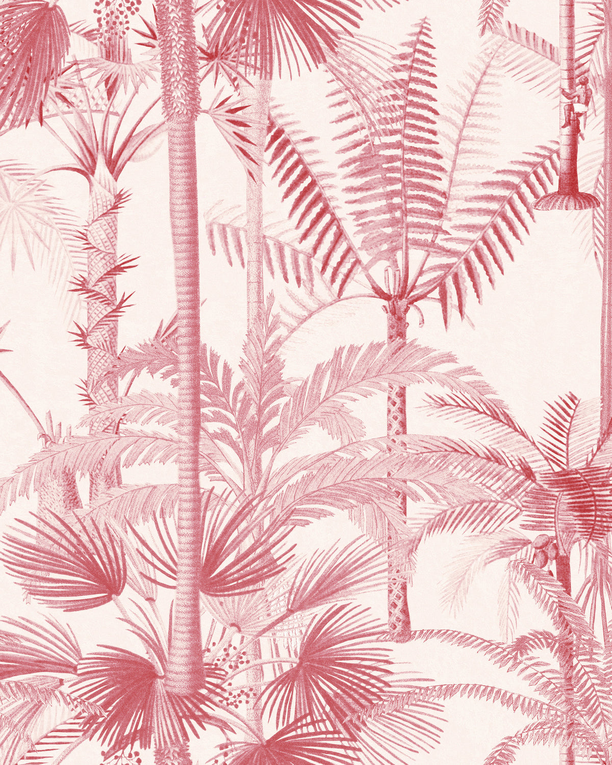 PALMERA CUBANA WALLPAPER