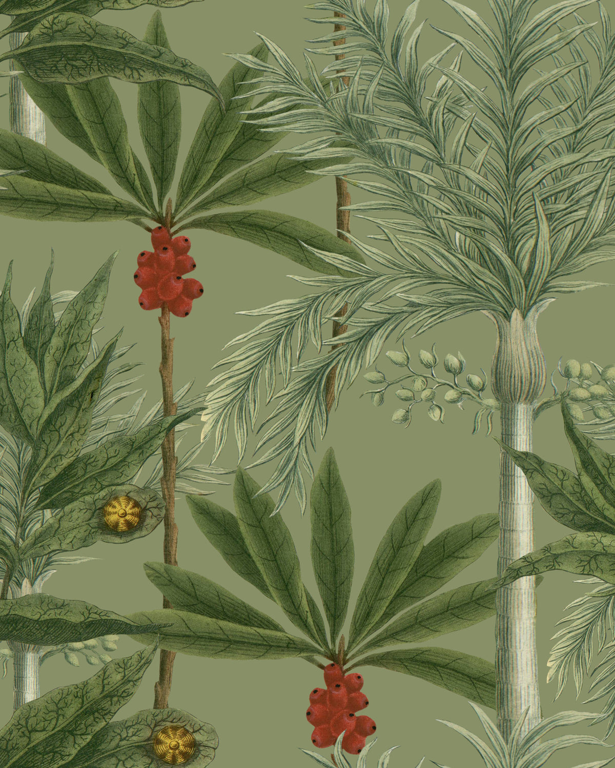 MADAGASCAR WALLPAPER