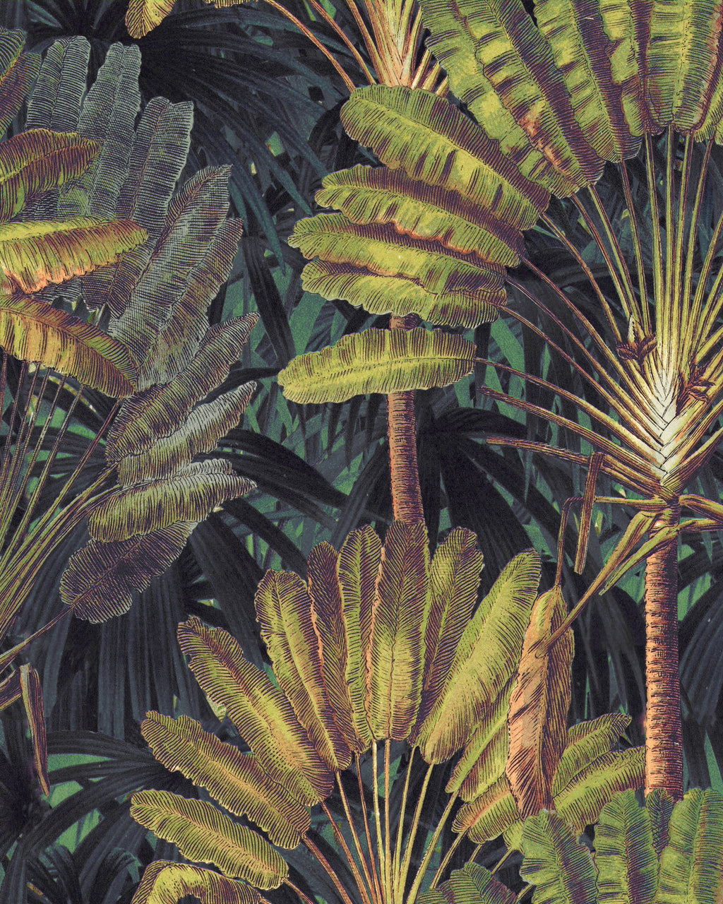 TRAVELLER'S PALM WALLPAPER