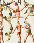 THE ACROBATS WALLPAPER