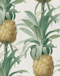 ANANAS WALLPAPER