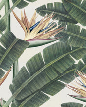 Load image into Gallery viewer, TROPICAL BLOOM WALLPAPER