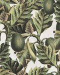 EXOTIC FRUIT I WALLPAPER