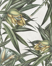 Load image into Gallery viewer, EXOTIC FRUIT II WALLPAPER