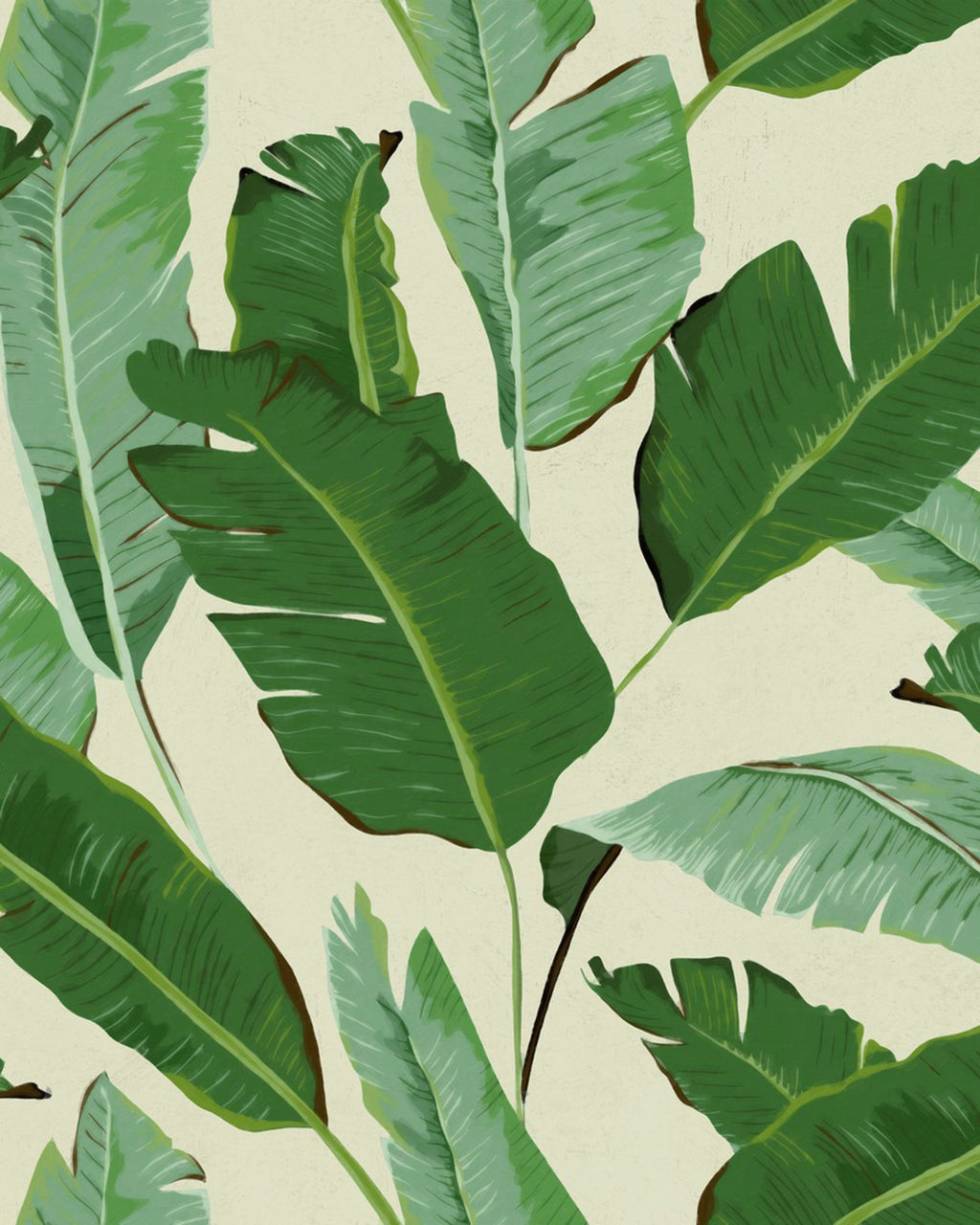 BANANA LEAVES WALLPAPER