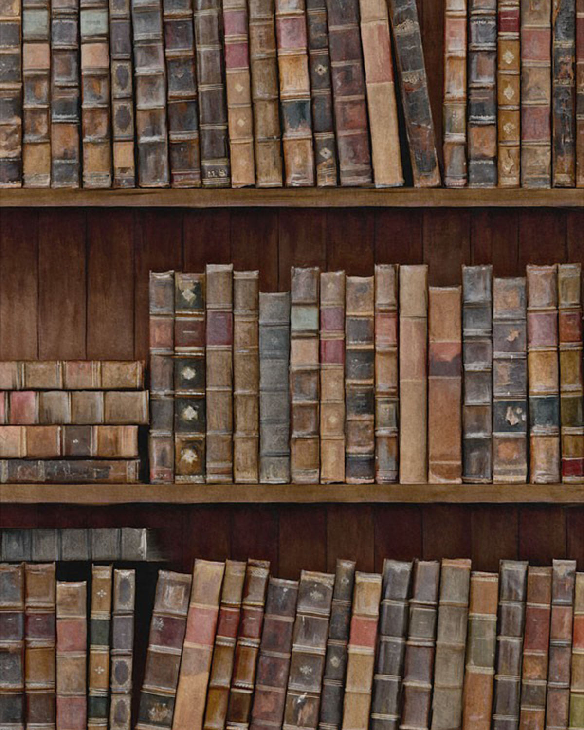 BOOK SHELVES WALLPAPER