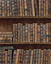 Load image into Gallery viewer, BOOK SHELVES WALLPAPER