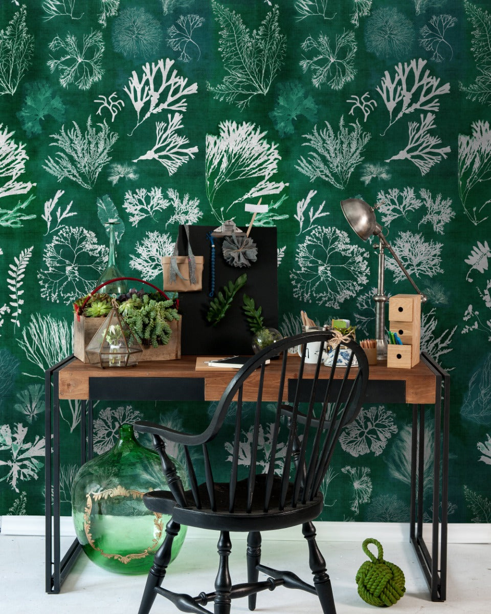 ALGAE WALLPAPER