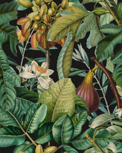 Load image into Gallery viewer, FIGS AND DATES WALLPAPER
