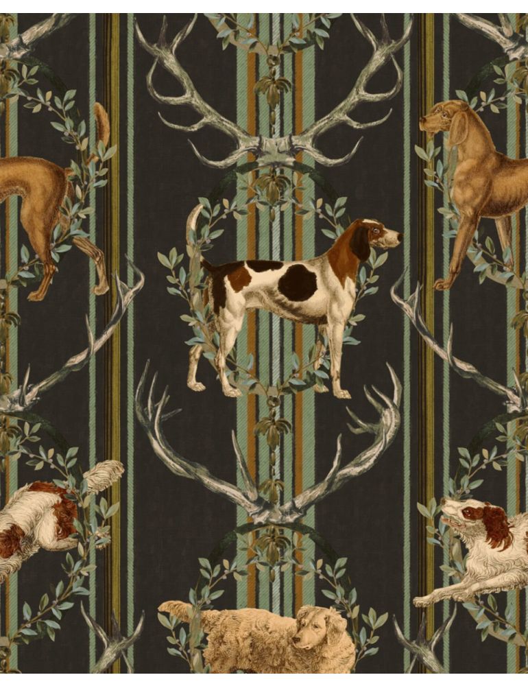 MOUNTAIN DOGS Cypress Wallpaper