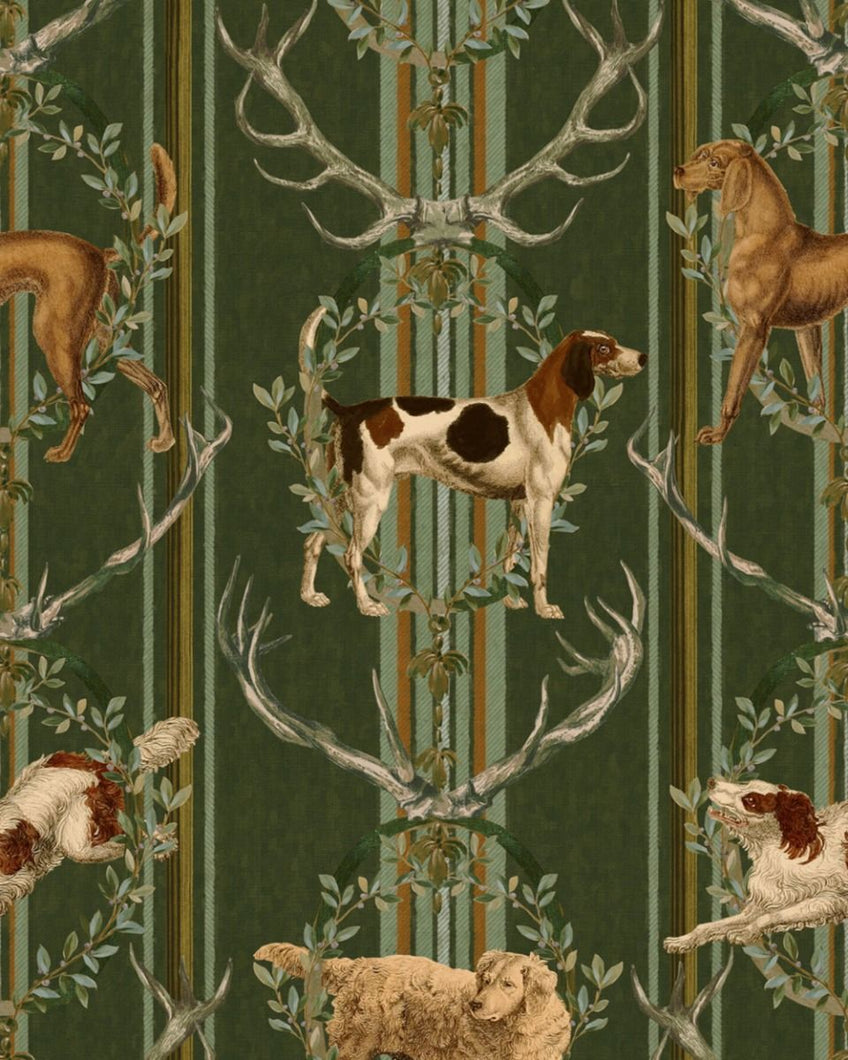 MOUNTAIN DOGS Cypress Wallpaper