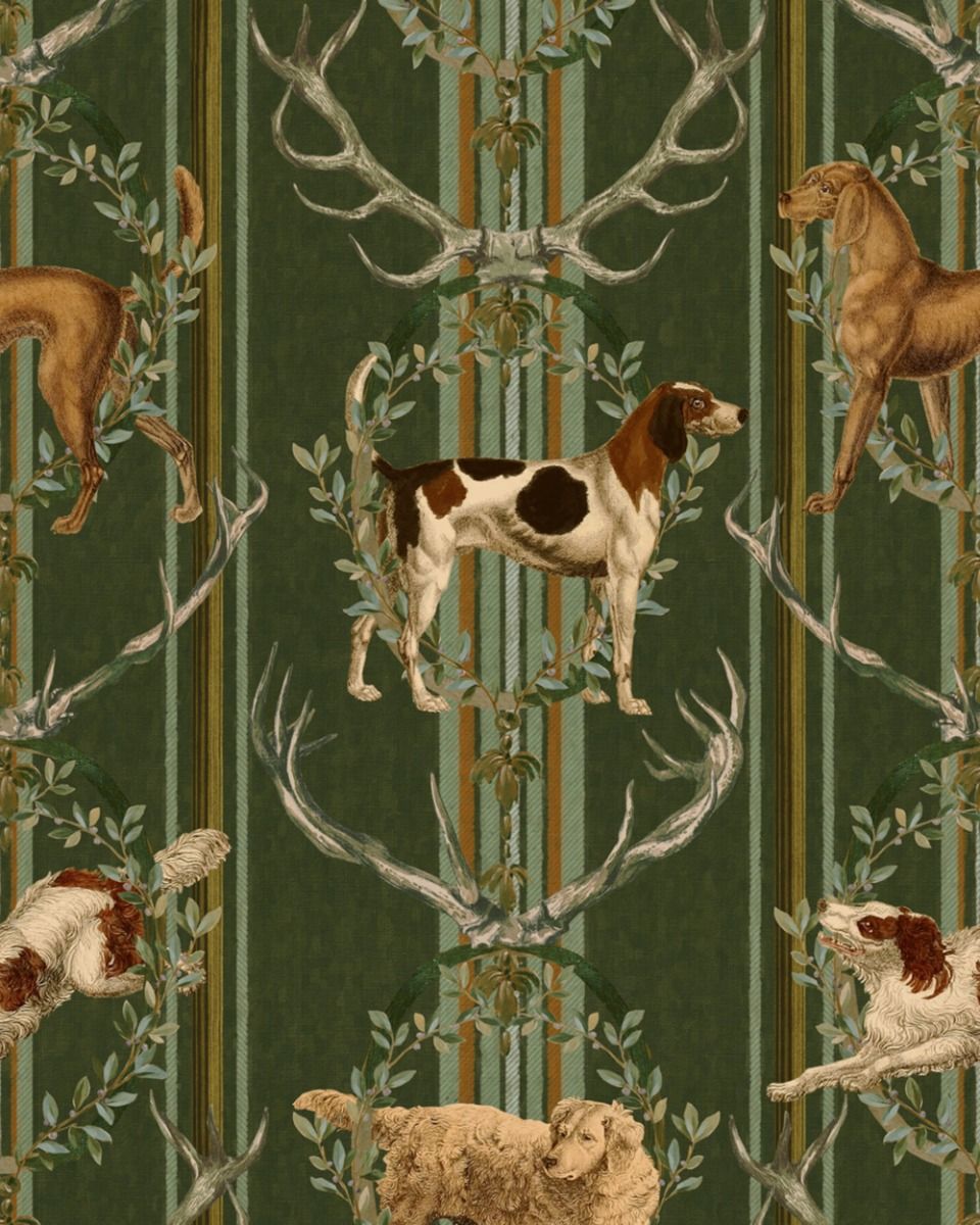 MOUNTAIN DOGS Cypress Wallpaper