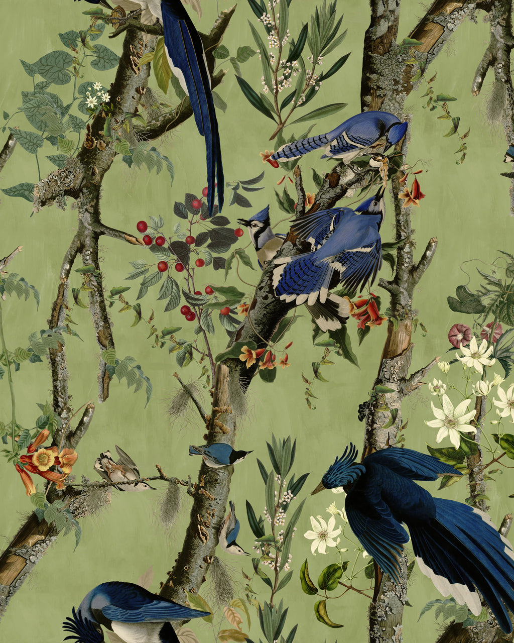 BIRDS OF DANUBE WALLPAPER