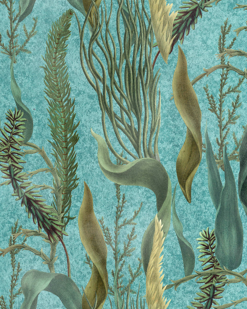 AQUATIC PLANTS WALLPAPER