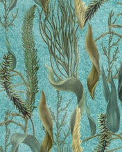 Load image into Gallery viewer, AQUATIC PLANTS WALLPAPER