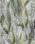 AQUATIC PLANTS WALLPAPER