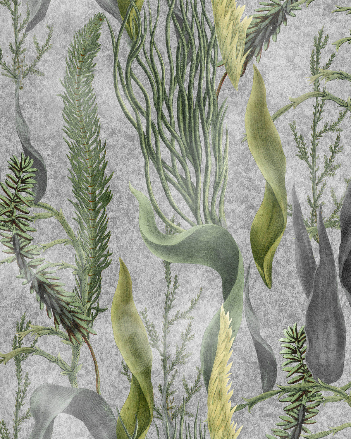 AQUATIC PLANTS WALLPAPER