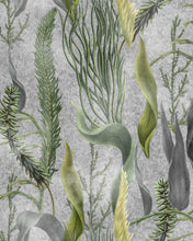 Load image into Gallery viewer, AQUATIC PLANTS WALLPAPER