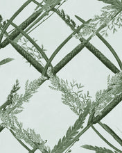 Load image into Gallery viewer, ORNAMENTAL REED WALLPAPER