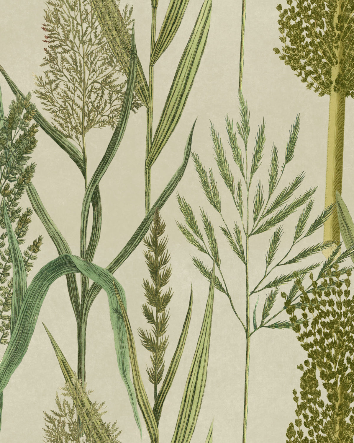 RIVERSIDE FLORA WALLPAPER