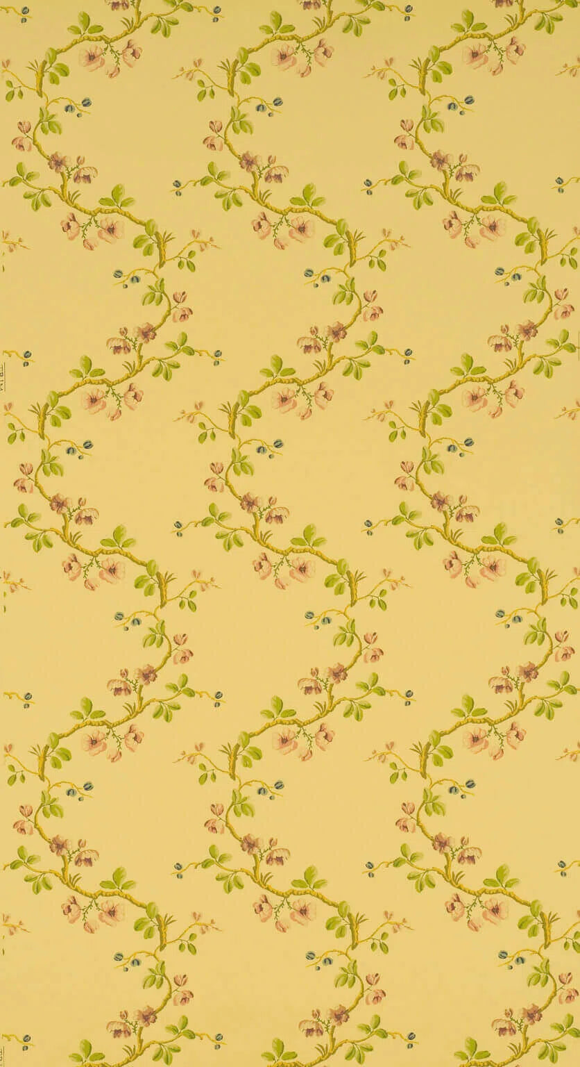 Wallpaper sans papillons wallpaper in Jaune