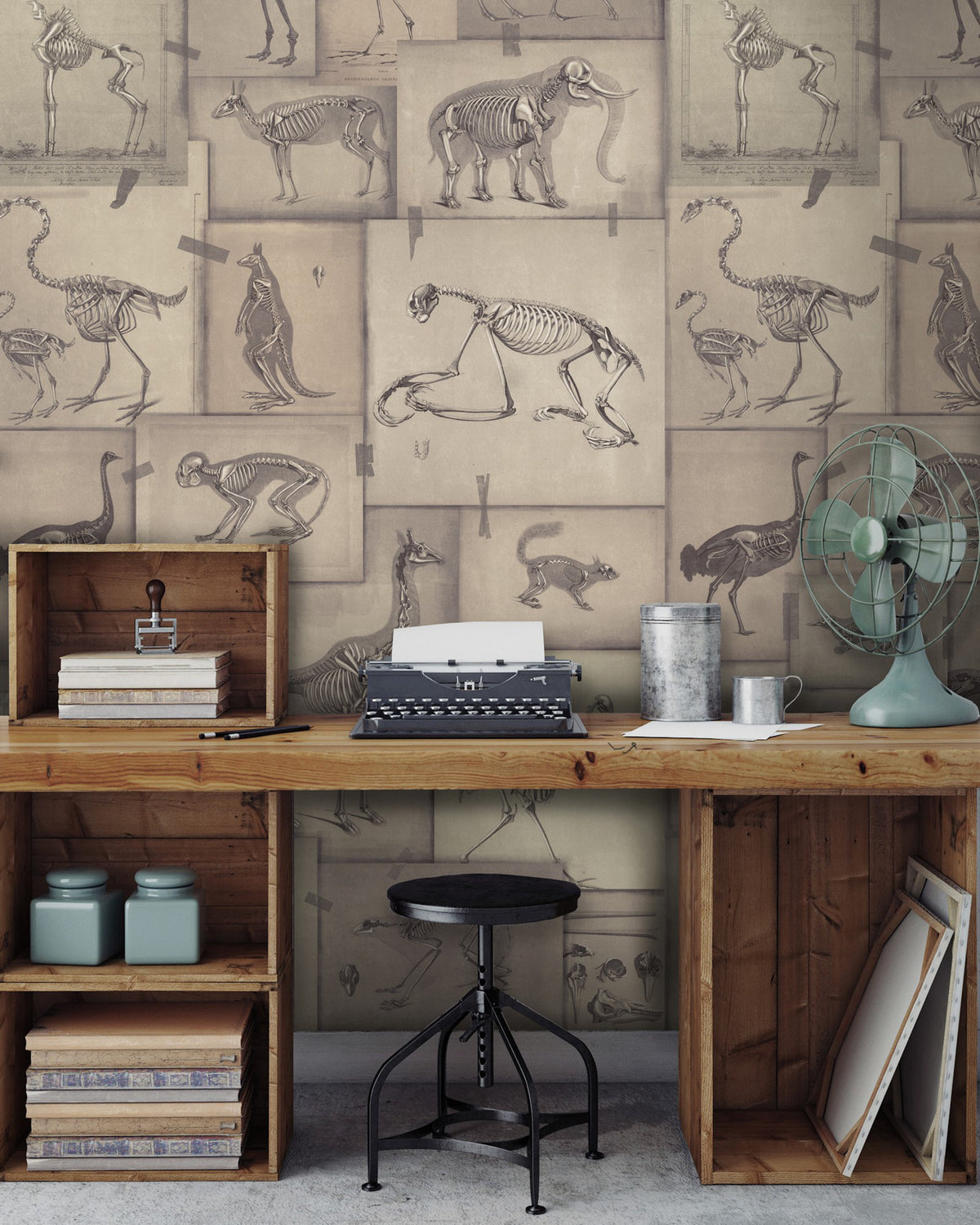 ZOOARCHAEOLOGY WALLPAPER