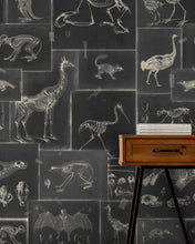 Load image into Gallery viewer, ZOOARCHAEOLOGY WALLPAPER