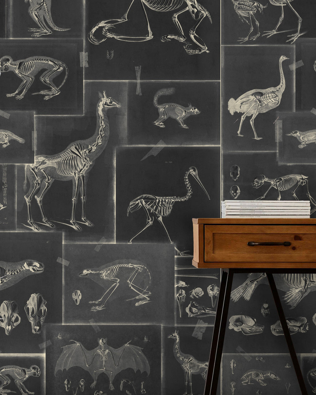 ZOOARCHAEOLOGY WALLPAPER