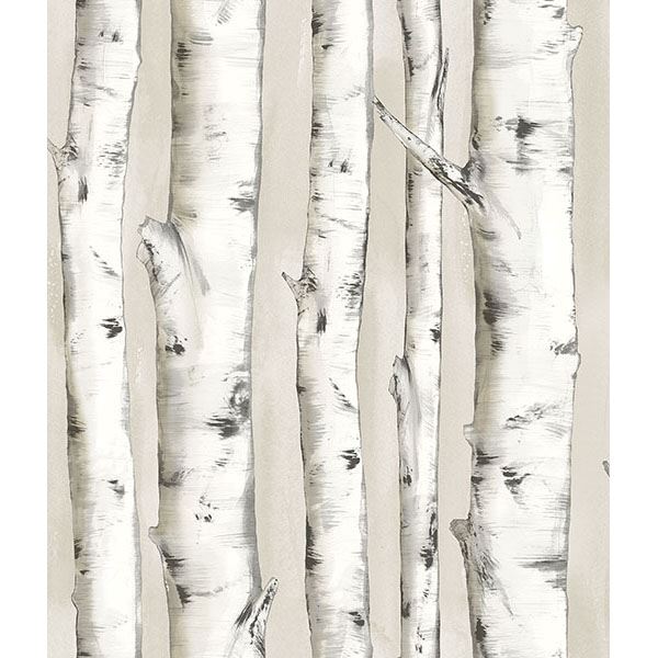 Pioneer Off-White Birch Tree Wallpaper