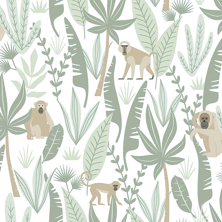 Kiki Light Green Monkeys Wallpaper