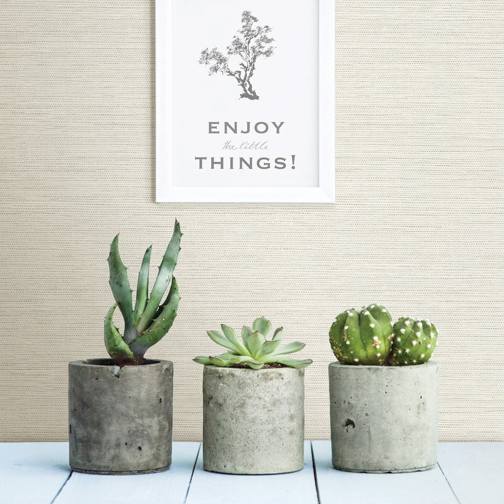 Agave Bliss Faux Grasscloth Wallpaper