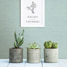 Load image into Gallery viewer, Agave Bliss Faux Grasscloth Wallpaper