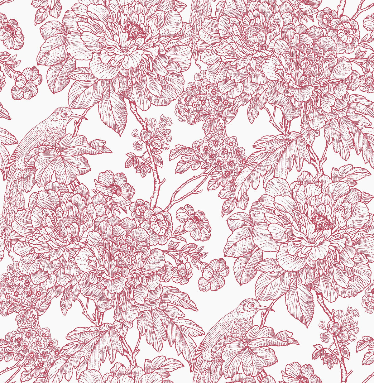 Transitional, Botanical