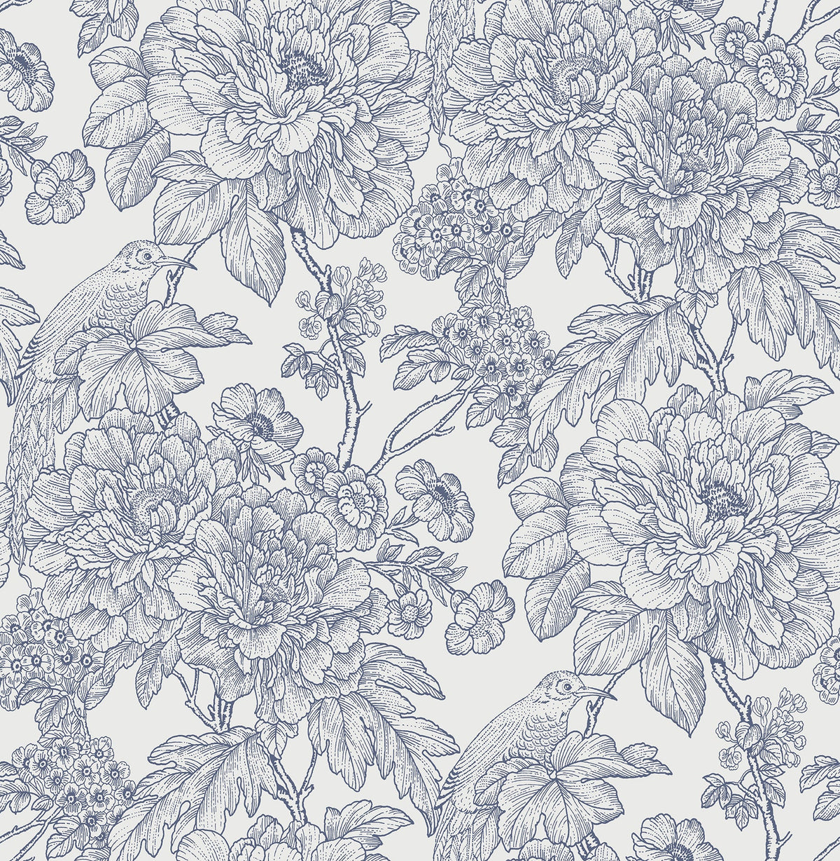 Transitional, Botanical