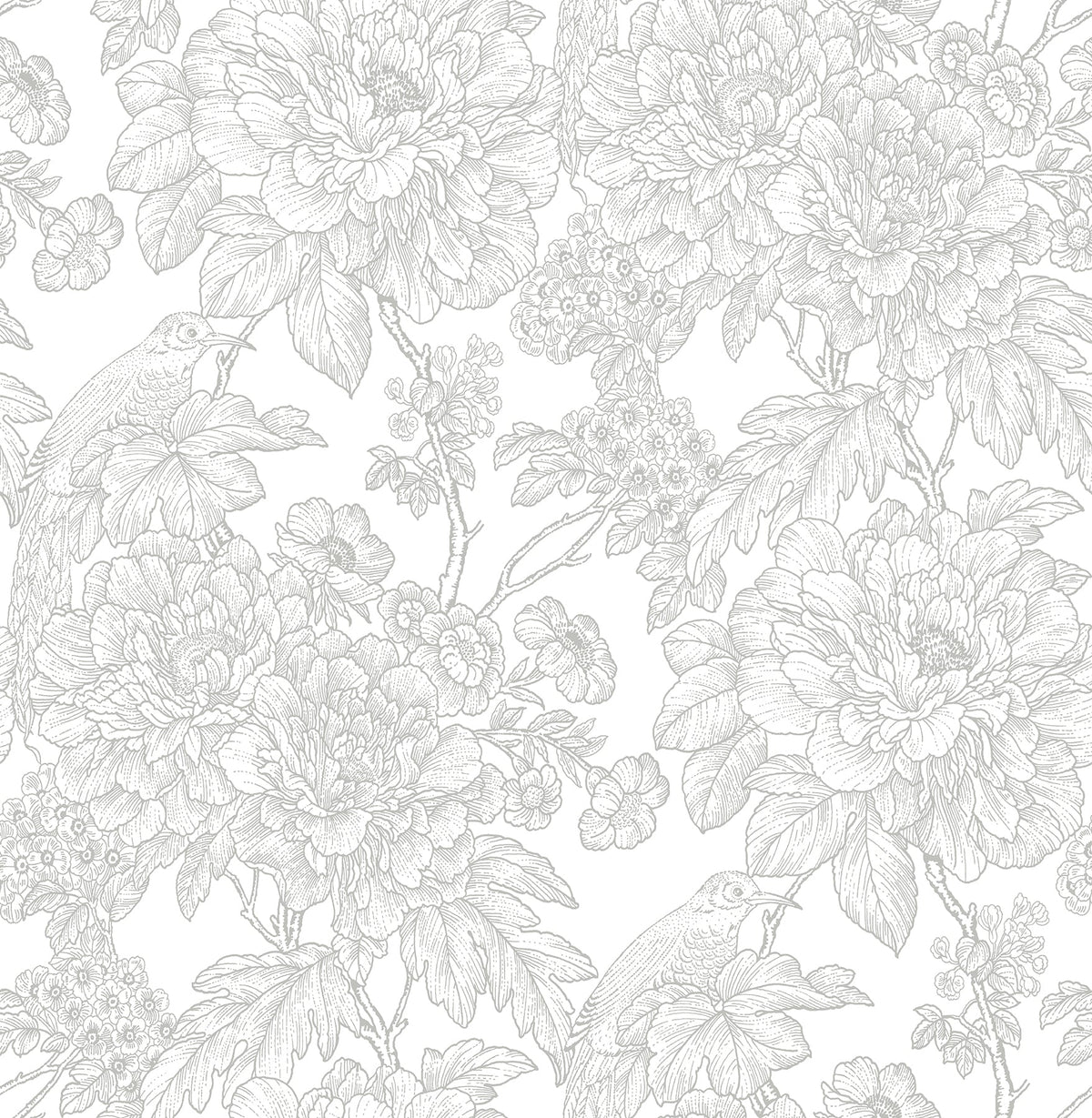 Transitional, Botanical