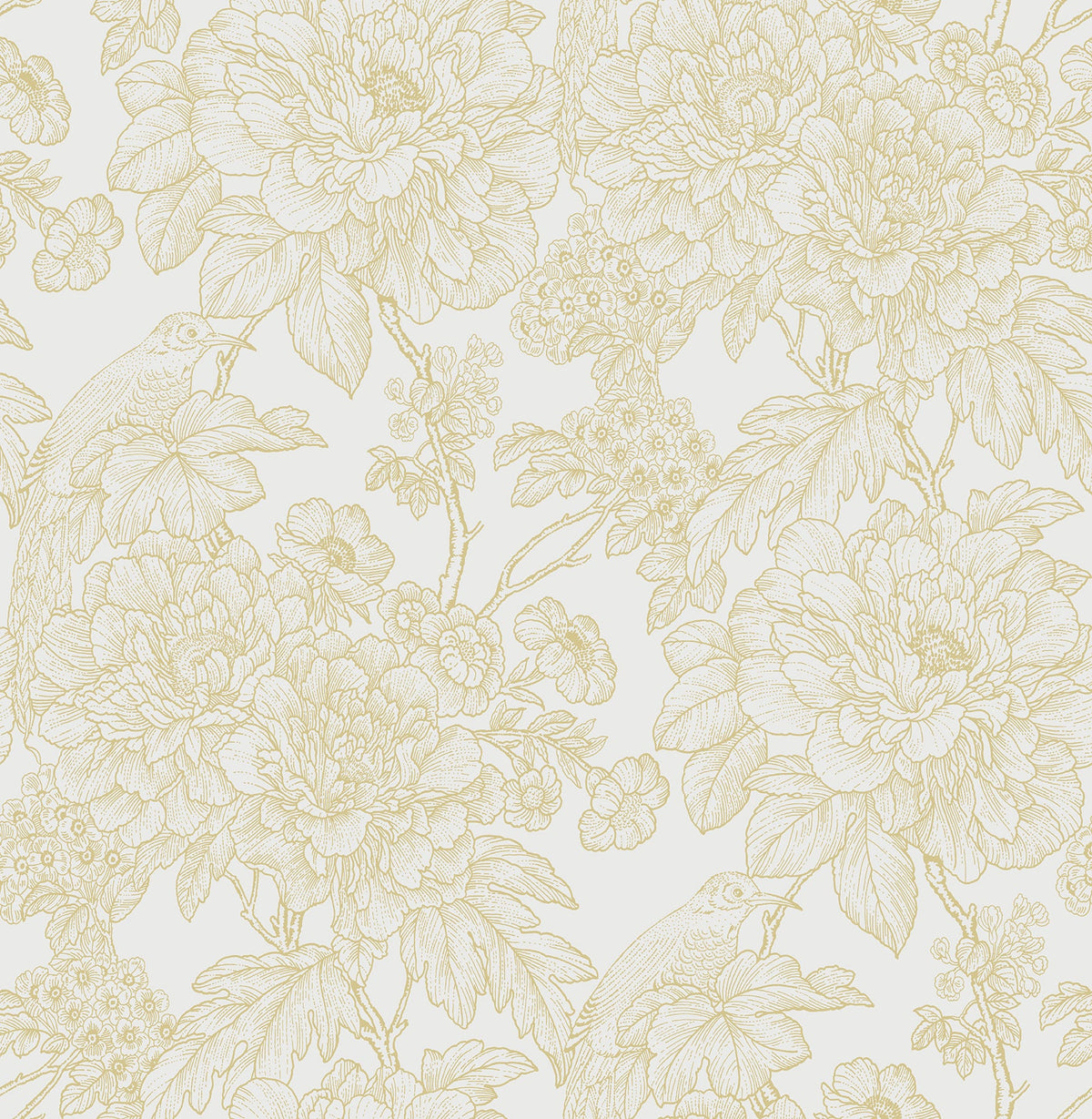 Transitional, Botanical